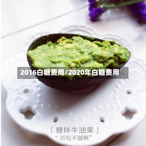 2016白糖费用/2020年白糖费用