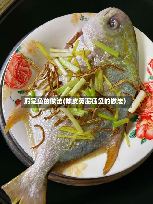 泥猛鱼的做法(陈皮蒸泥猛鱼的做法)-第2张图片