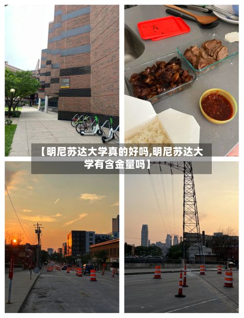 【明尼苏达大学真的好吗,明尼苏达大学有含金量吗】-第3张图片