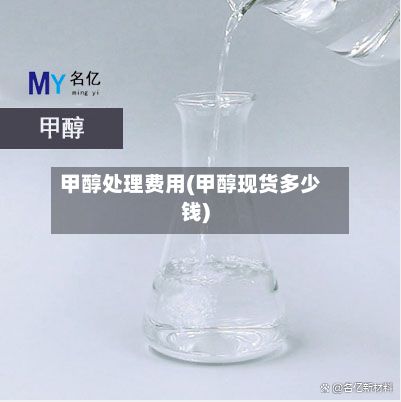 甲醇处理费用(甲醇现货多少钱)-第3张图片