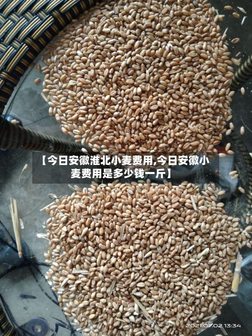 【今日安徽淮北小麦费用,今日安徽小麦费用是多少钱一斤】-第2张图片