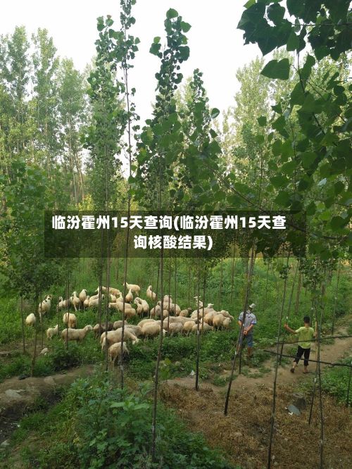 临汾霍州15天查询(临汾霍州15天查询核酸结果)-第3张图片
