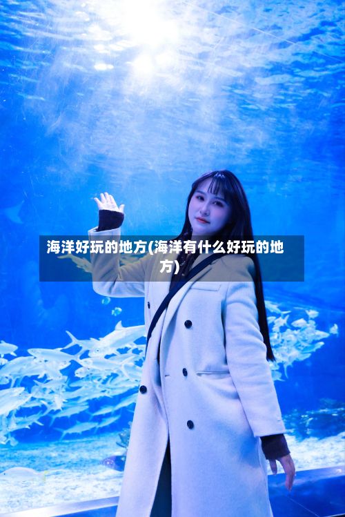 海洋好玩的地方(海洋有什么好玩的地方)-第2张图片