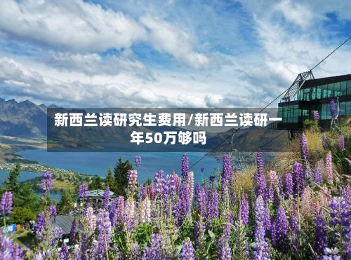 新西兰读研究生费用/新西兰读研一年50万够吗-第3张图片