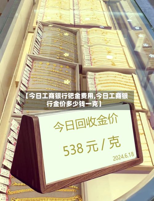 【今日工商银行钯金费用,今日工商银行金价多少钱一克】