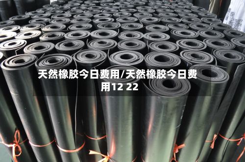 天然橡胶今日费用/天然橡胶今日费用12 22-第2张图片
