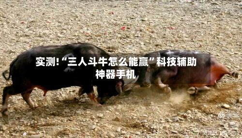 实测!“三人斗牛怎么能赢	”科技辅助神器手机-第2张图片