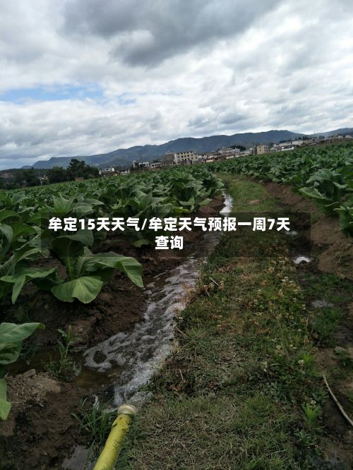 牟定15天天气/牟定天气预报一周7天查询-第2张图片