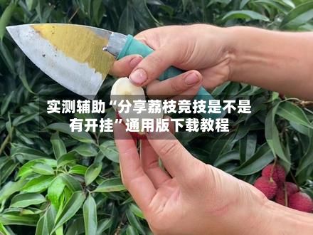 实测辅助“分享荔枝竞技是不是有开挂	”通用版下载教程-第2张图片
