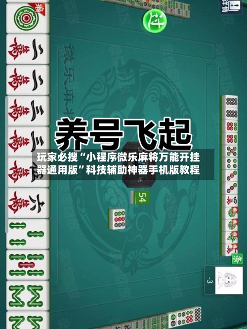 玩家必搜“小程序微乐麻将万能开挂器通用版”科技辅助神器手机版教程-第2张图片