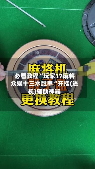 必看教程“玩家17麻将众娱十三水胜率“开挂(透视)辅助神器-第3张图片