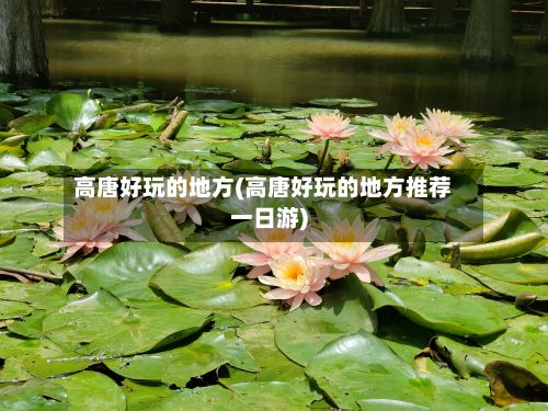 高唐好玩的地方(高唐好玩的地方推荐一日游)
