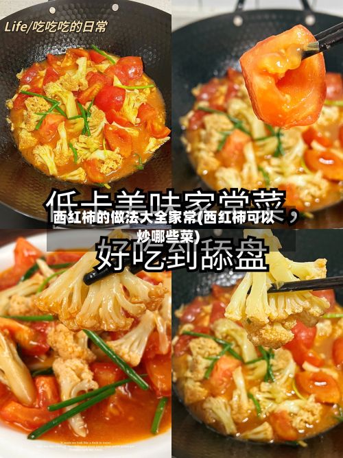 西红柿的做法大全家常(西红柿可以炒哪些菜)