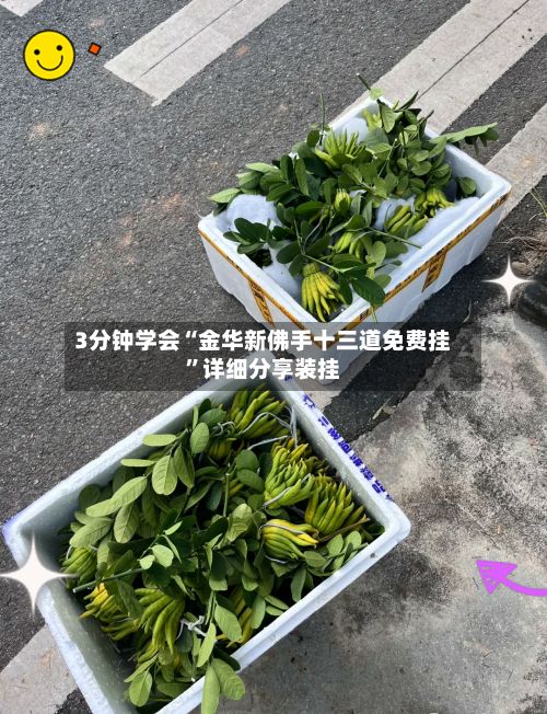 3分钟学会“金华新佛手十三道免费挂”详细分享装挂