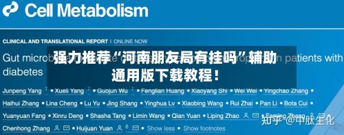 强力推荐“河南朋友局有挂吗”辅助通用版下载教程！-第3张图片