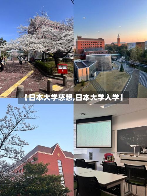 【日本大学感想,日本大学入学】-第3张图片