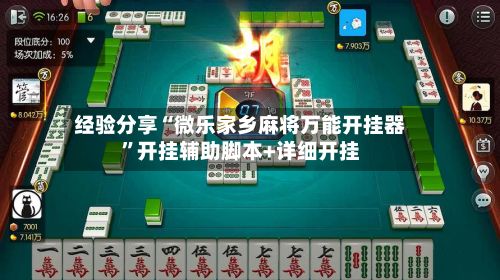经验分享“微乐家乡麻将万能开挂器”开挂辅助脚本+详细开挂-第3张图片