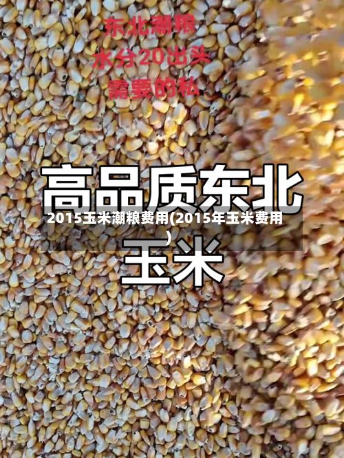 2015玉米潮粮费用(2015年玉米费用)