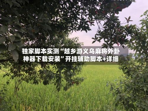 独家脚本实测“越乡游义乌麻将外卦神器下载安装”开挂辅助脚本+详细