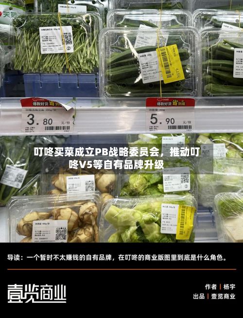 叮咚买菜成立PB战略委员会	，推动叮咚V5等自有品牌升级-第1张图片