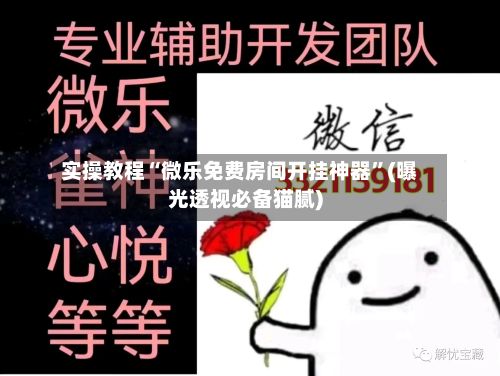实操教程“微乐免费房间开挂神器”(曝光透视必备猫腻)-第2张图片