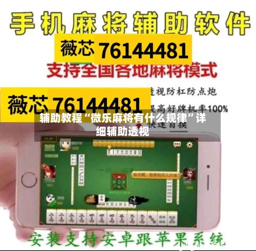 辅助教程“微乐麻将有什么规律”详细辅助透视-第2张图片