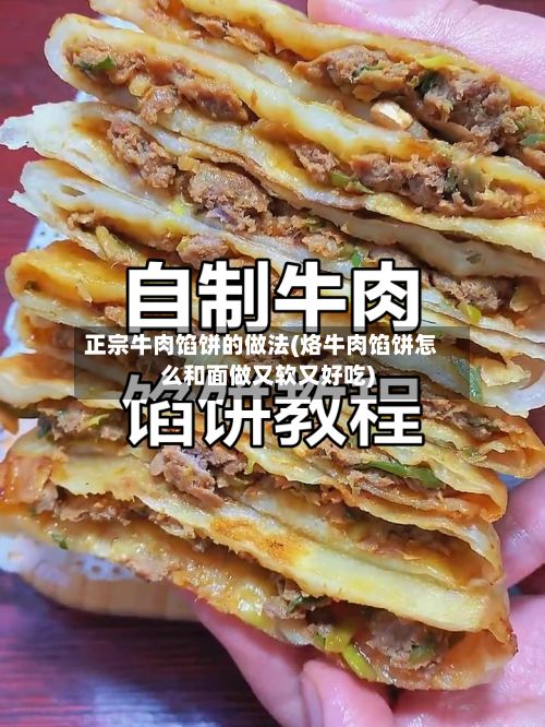 正宗牛肉馅饼的做法(烙牛肉馅饼怎么和面做又软又好吃)-第3张图片