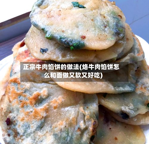 正宗牛肉馅饼的做法(烙牛肉馅饼怎么和面做又软又好吃)