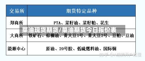菜油现货期货/菜油期货今日报价表