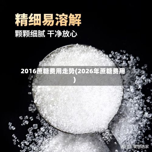 2016蔗糖费用走势(2026年蔗糖费用)