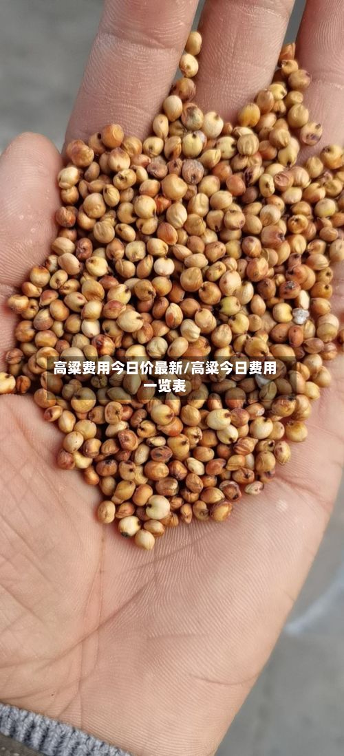 高粱费用今日价最新/高粱今日费用一览表