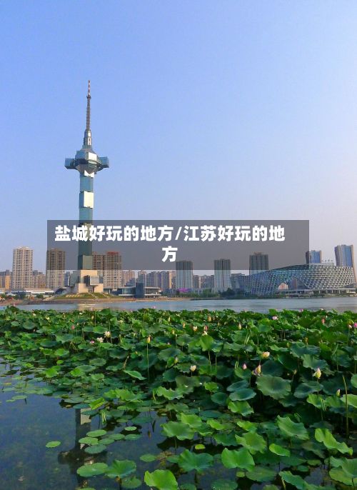 盐城好玩的地方/江苏好玩的地方