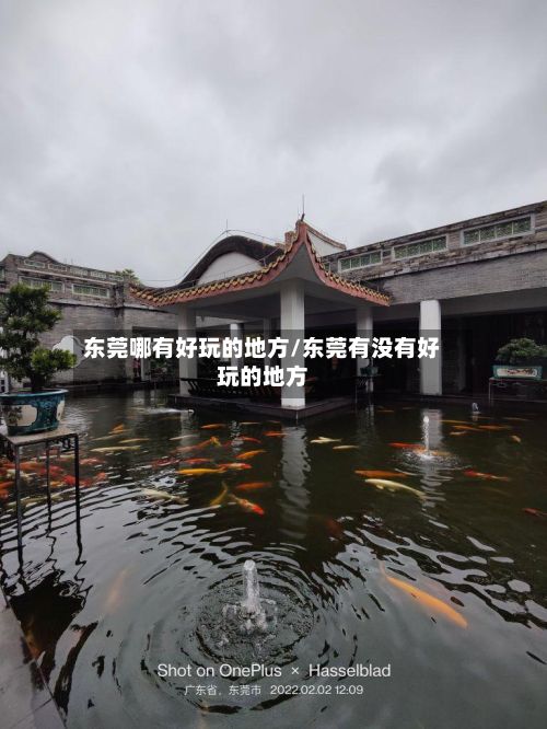 东莞哪有好玩的地方/东莞有没有好玩的地方-第2张图片
