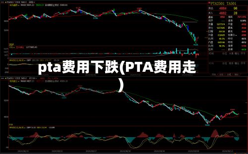 pta费用下跌(PTA费用走)