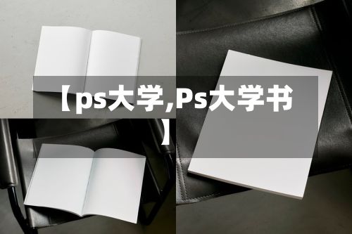 【ps大学,Ps大学书】-第3张图片