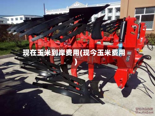 现在玉米到岸费用(现今玉米费用)-第2张图片
