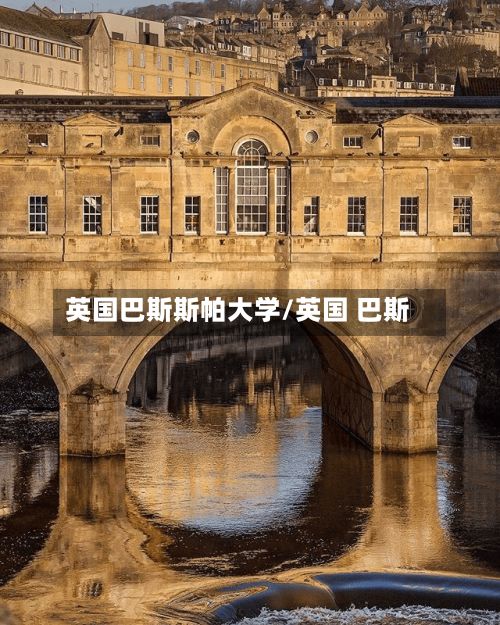 英国巴斯斯帕大学/英国 巴斯