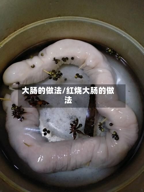 大肠的做法/红烧大肠的做法-第2张图片