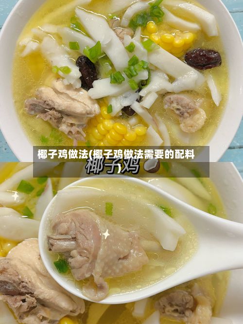 椰子鸡做法(椰子鸡做法需要的配料)-第3张图片