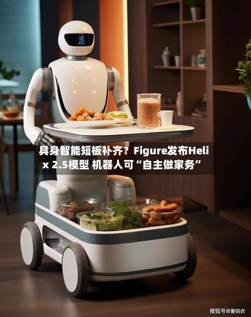 具身智能短板补齐？Figure发布Helix 2.5模型 机器人可“自主做家务”-第2张图片