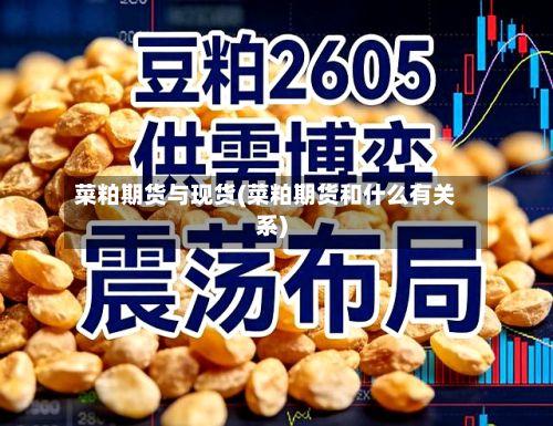 菜粕期货与现货(菜粕期货和什么有关系)
