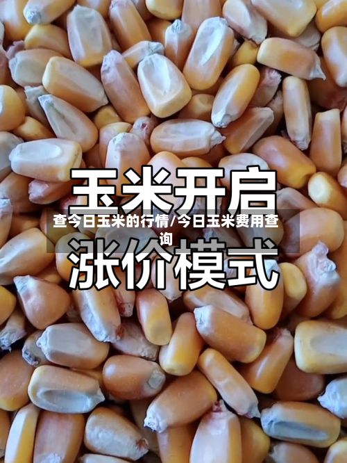 查今日玉米的行情/今日玉米费用查询-第2张图片
