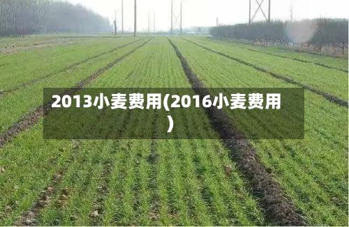 2013小麦费用(2016小麦费用)