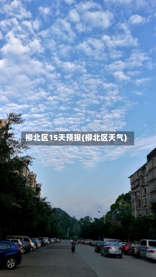 柳北区15天预报(柳北区天气)-第2张图片