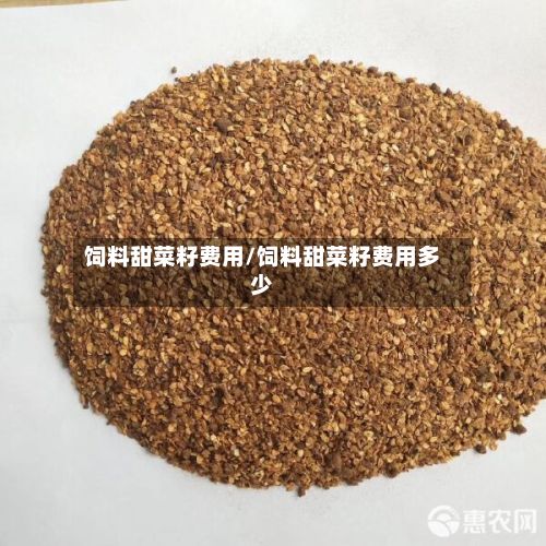 饲料甜菜籽费用/饲料甜菜籽费用多少