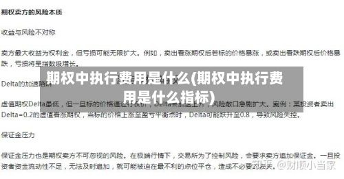 期权中执行费用是什么(期权中执行费用是什么指标)-第2张图片