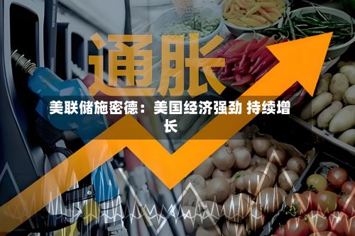 美联储施密德：美国经济强劲 持续增长