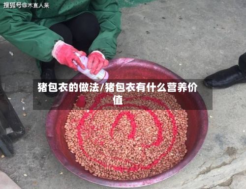 猪包衣的做法/猪包衣有什么营养价值-第2张图片