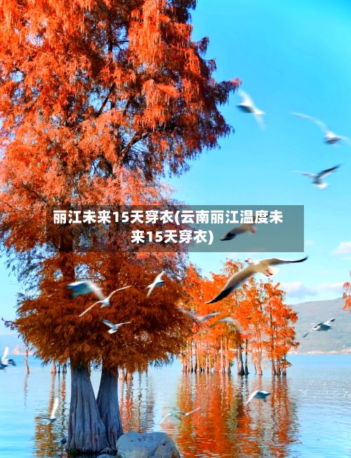 丽江未来15天穿衣(云南丽江温度未来15天穿衣)-第2张图片