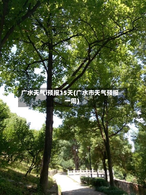 广水天气i预报15天(广水市天气预报一周)-第2张图片